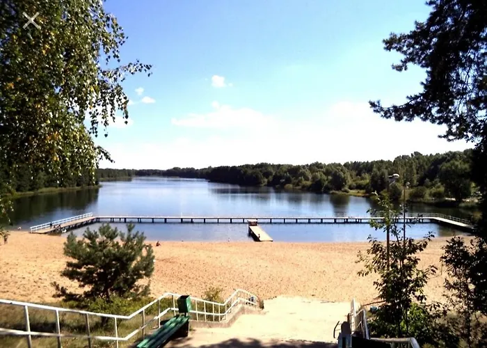 Swierkowisko Cisza Las Plaza Blisko