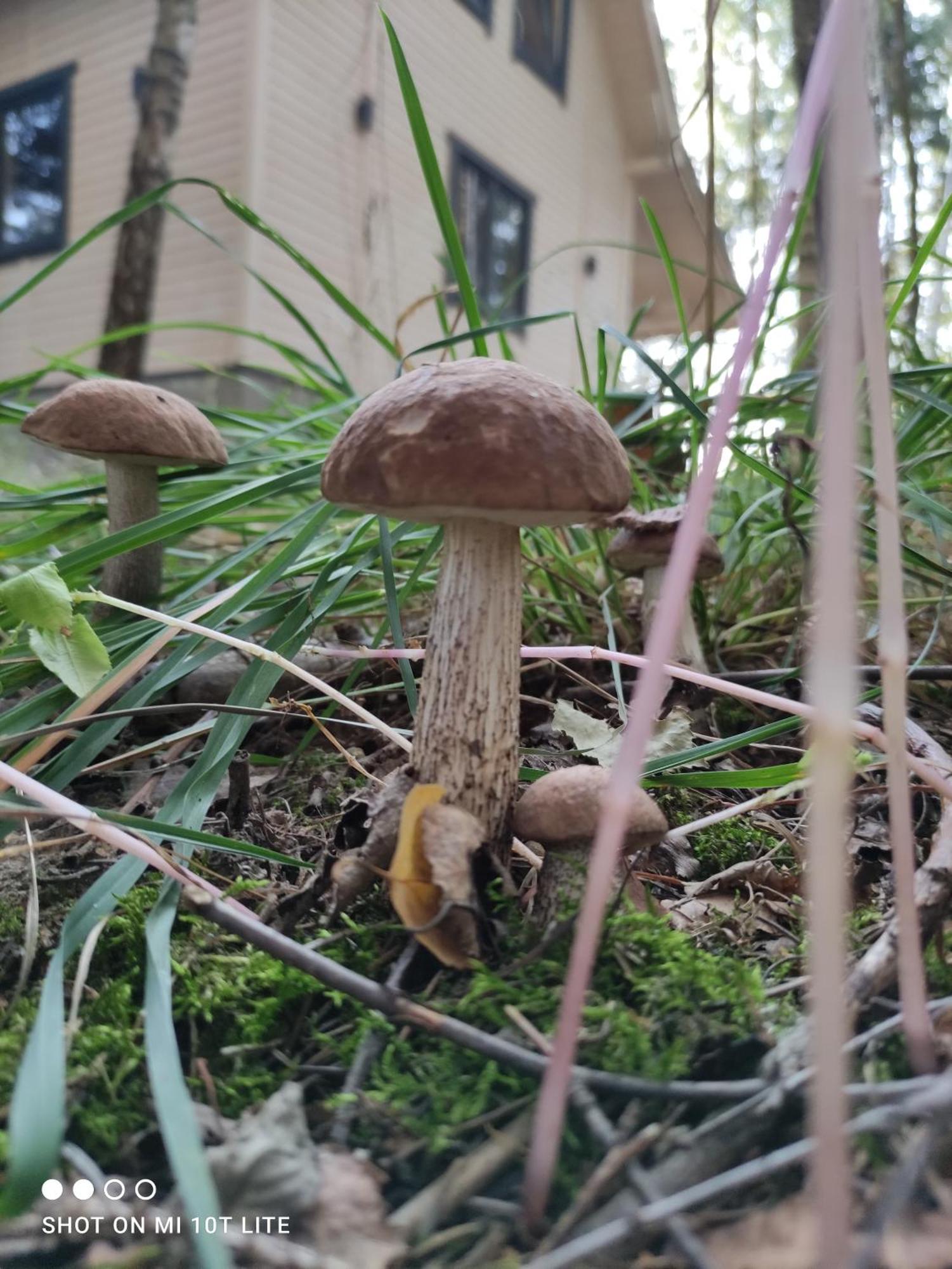 Ferienhaus Swierkowisko Cisza Plaza Blisko *